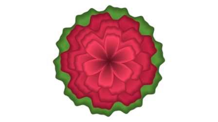 Carnation