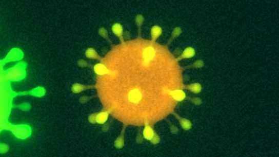 Coronavirus in microscope